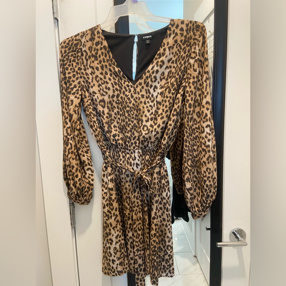 Leopard Print Long Sleeve Dress from Express size small